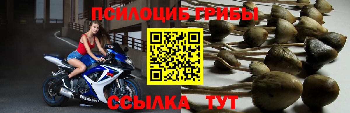 Псилоцибиновые грибы MAGIC MUSHROOMS  Вход с VPN  Галлюциногенные грибы MAGIC MUSHROOMS  Новодвинск 